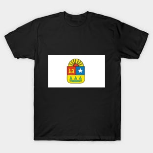 Quintana Roo Flag T-Shirt